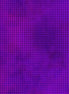 Dit-Dot Evolution Plum