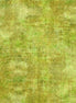 Halcyon Tonal Lime