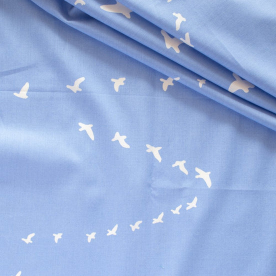 Birch Basics Flight Cornflower