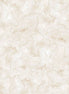 Milk Paint Texture Ecru
