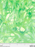 Nature's Iris Painted Blender Green