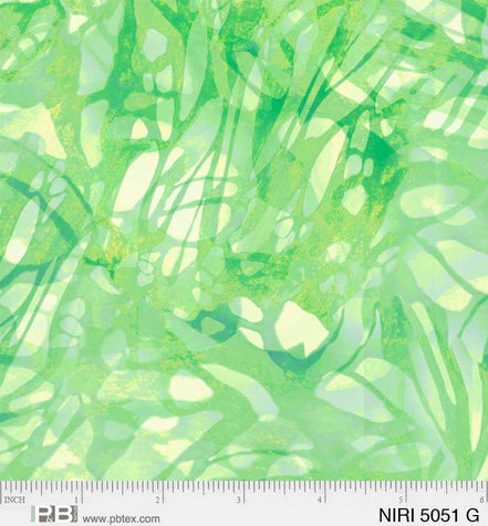 Nature's Iris Painted Blender Green