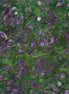 Bali Batik Blueberries Huckleberry