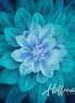 Dream Bigger Wide Back - Teal Panel