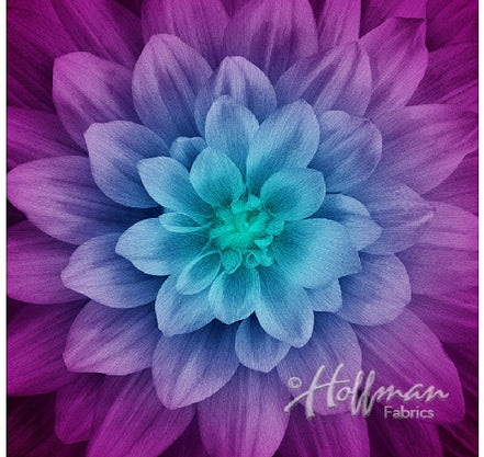 Dream Big Wide Back - Aurora Panel