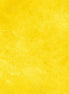 P &B Suede Bright Yellow