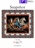 Snapshot Panel Quilt Pattern 52x58