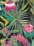 AGF Rayon Tropicalia Dark