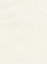 Ramblings White on White Scroll