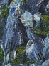 Nature's Odyssey Shale