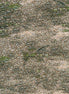 Nature's Odyssey Stone