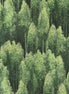 Nature's Odyssey Tree Forest