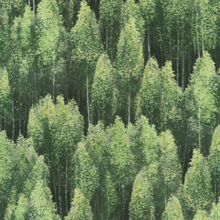 Nature's Odyssey Tree Forest