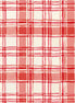 Holly Woods Coral Painted Plaid