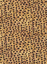 Clearance Animal Kingdom Minis Cheetah Wild