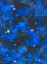 Nature's Wonder Stars Midnight