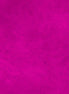 P&B Suede Bright Fuschia