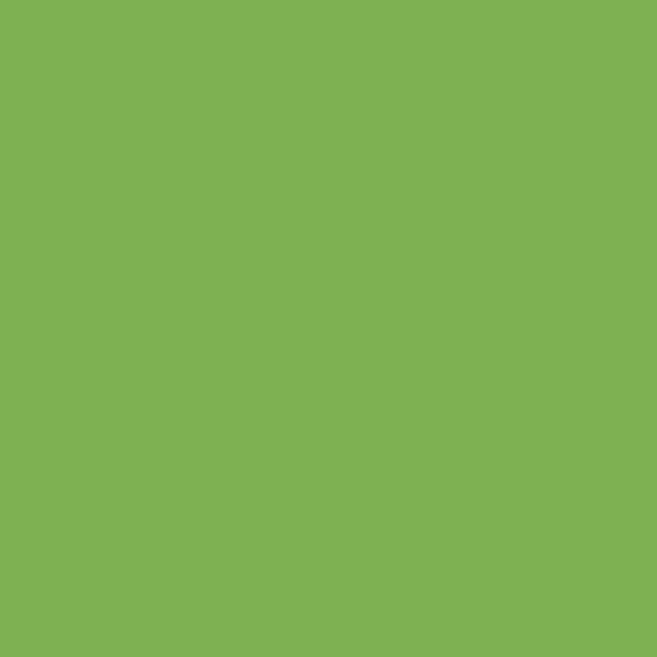 Hoffman Solid - 178 Leaf