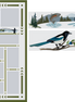 Alaska Quilter's 2026 Shop Hop Magpie and Finishing Kit 80” x 94”