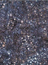Hoffman Bali Batik Scattered Dots Delft
