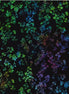 Hoffman Bali Batik Ditsy Bouquet Spectrum