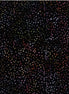 Hoffman Bali Batik Seeds Vineyard