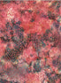 Bali Batik U2488-714