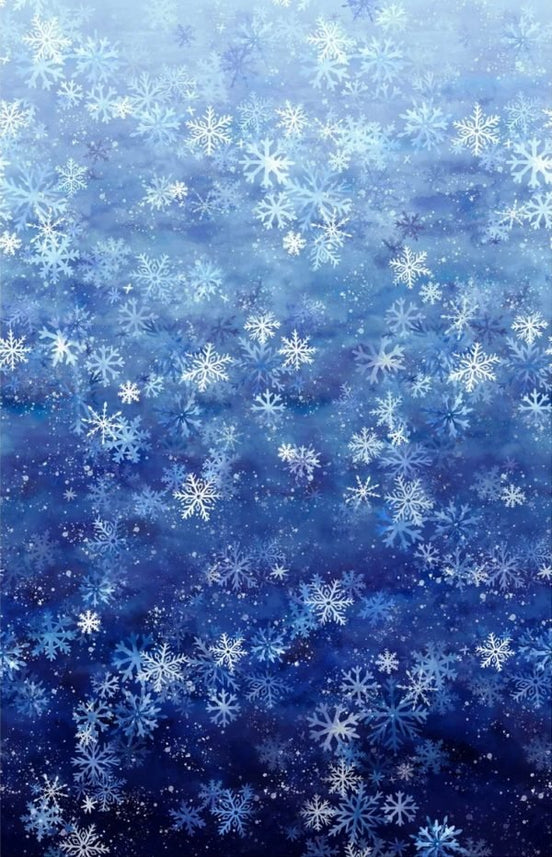 Snow Play - Salvia