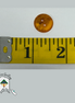 Orange Speckled Buttons