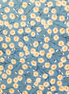 Springtime Daisies Blue
