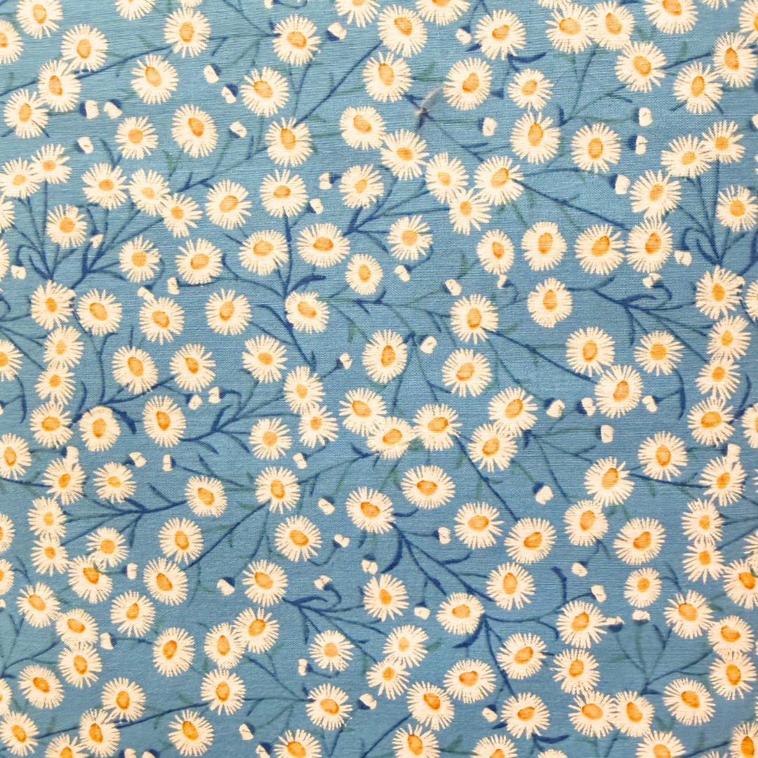 Springtime Daisies Blue