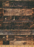 Hoffman Spectrum Print Off The Grid Woody