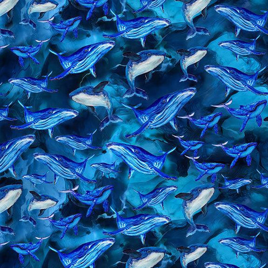 Hoffman Deep Blue Whale Song