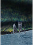 Hoffman Moonlight Encounter Panel 30"x43"