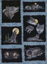 Hoffman Moonlight Encounter by Jon Van Zyle 27"x43"
