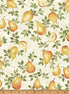 Hoffman 33G - Cream/Gold Y7809