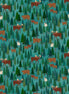 Alaska: The Last Frontier Alaska Mountain Pine