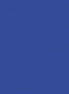COTTON COUTURE Cobalt Blue