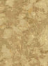 PATINA DCX11756-BAMB-D