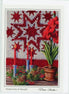 Feather Star Amaryllis Note Card
