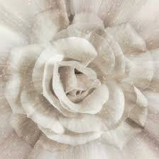 Dream Big Panel - Ivory 43"x43"