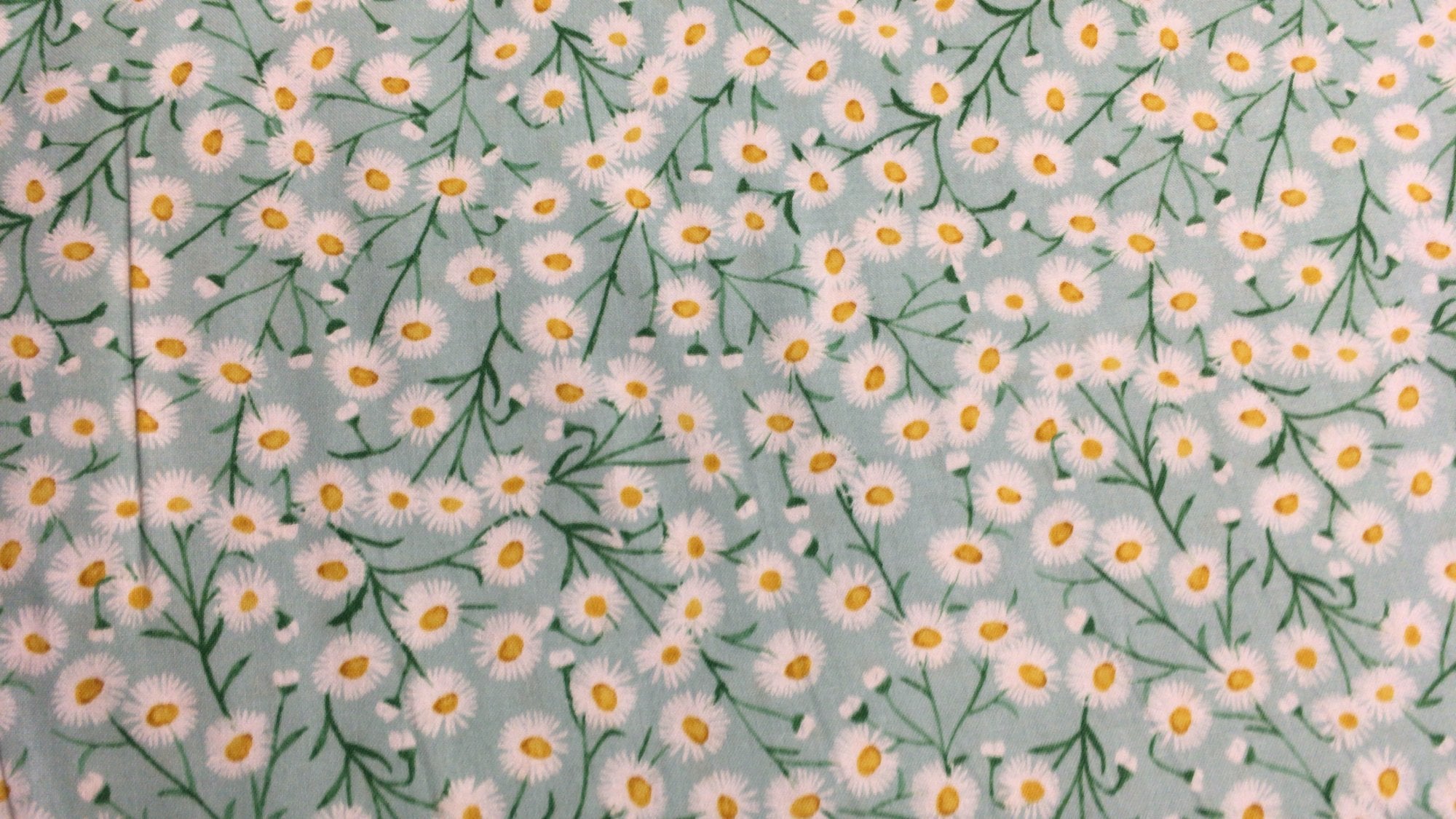 Springtime Daisies Lt Teal