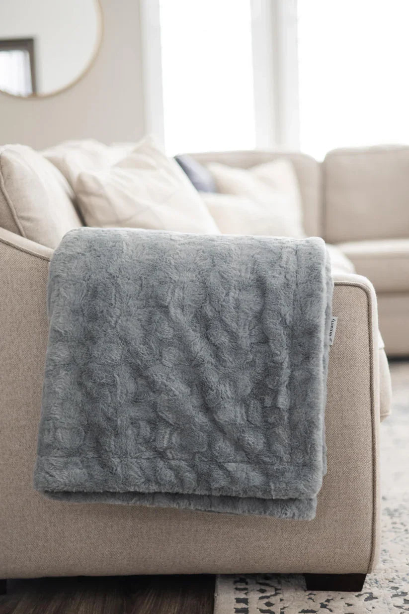 Living room with a gray sofa, rug, and decorative items