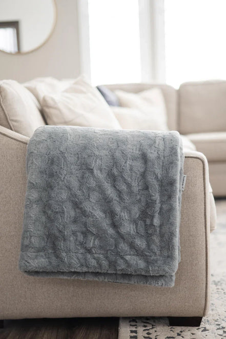 Living room with a gray sofa, rug, and decorative items