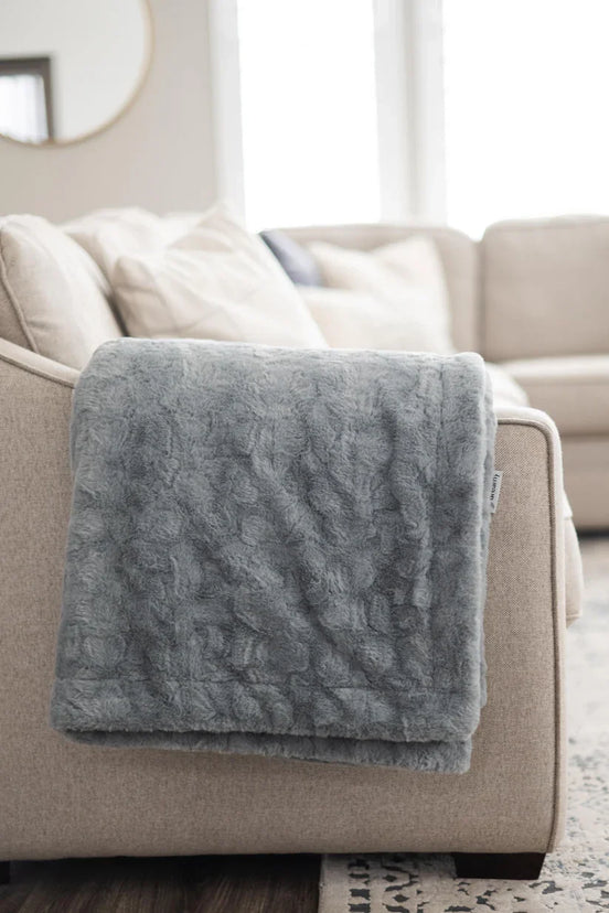 Living room with a gray sofa, rug, and decorative items