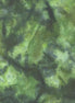 Hoffman 1895-377 Spinach