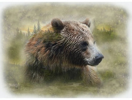 Grizzly bear in a natural setting