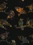 Hoffman Batik Ravens Sugarplum
