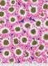 Kaffe Collective Lucy Pink