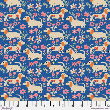 August Ellery Pemberley Pups - Delft